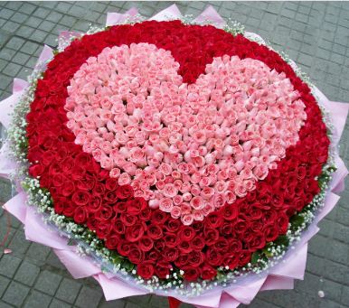 Gởi Hoa Về Hoàng Sa Đà Nẵng Việt Nam