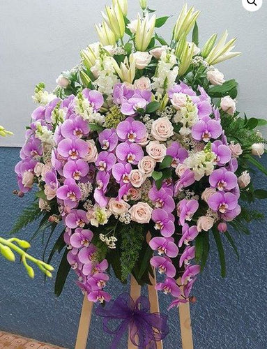 Hoa Khai Trương An Giang