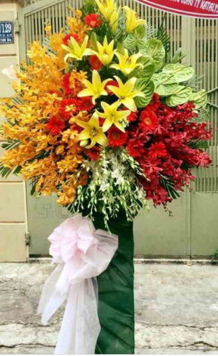 Hoa Khai Trương Bắc Kạn