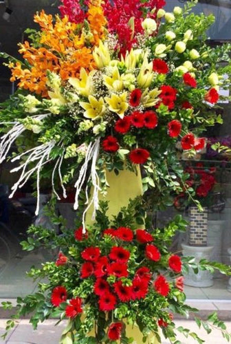 Hoa Khai Trương Bến Tre