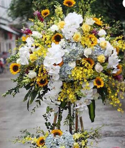 Hoa Khai Trương Bình Định