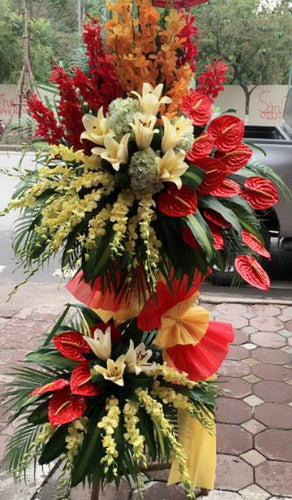 Hoa Khai Trương Bình Thuận