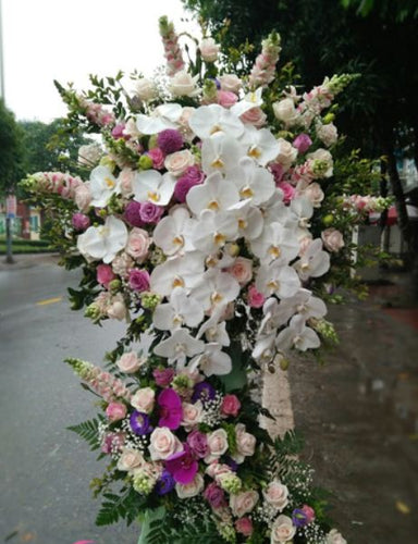 Hoa Khai Trương Đắk Lắk