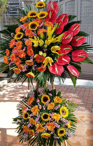 Hoa Khai Trương Điện Biên