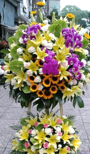 Hoa Khai Trương Hải Phòng