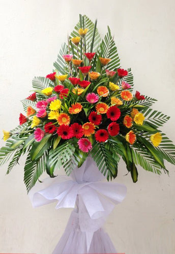 Hoa Khai Trương Thành Phố Hồ Chí Minh