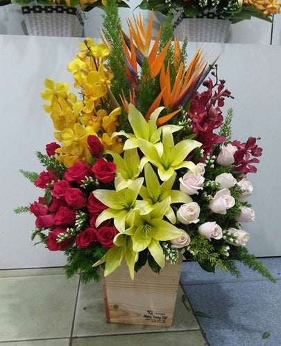 Hoa Khai Trương Tuyên Quang