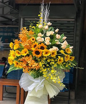 Hoa Khai Trương Vĩnh Long