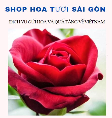 Shop hoa tươi sài gòn