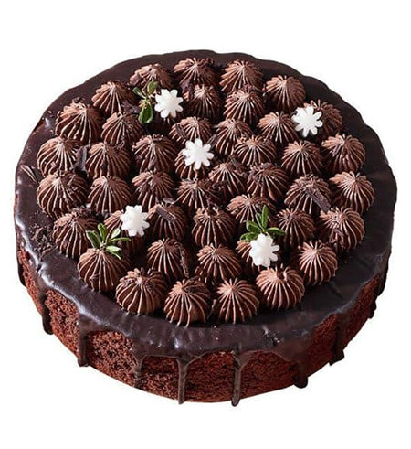 Bánh Kem Đặc Biệt 24 - Gửi Hoa Về Việt Nam