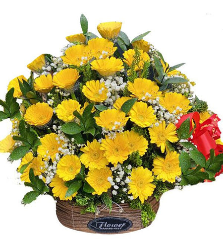 Hoa Chúc Mừng 01 - Gửi Hoa Về Việt Nam