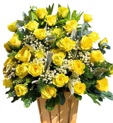 Hoa Chúc Mừng 06 - Gửi Hoa Về Việt Nam