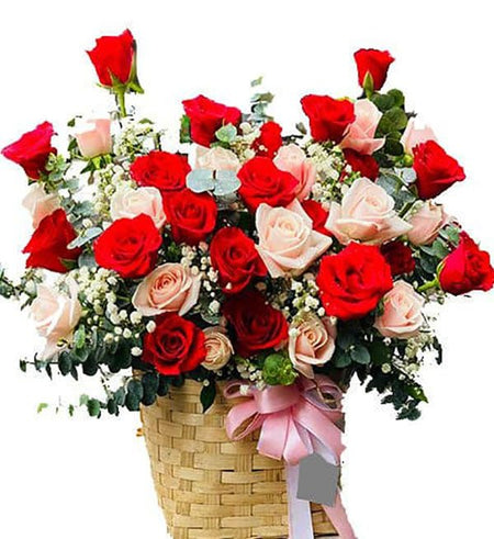 Hoa Chúc Mừng 08 - Gửi Hoa Về Việt Nam