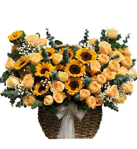 Hoa Chúc Mừng 09 - Gửi Hoa Về Việt Nam