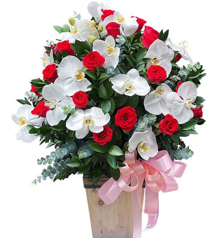 Hoa Chúc Mừng 11 - Gửi Hoa Về Việt Nam