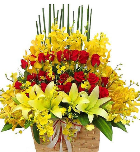 Hoa Chúc Mừng 12 - Gửi Hoa Về Việt Nam