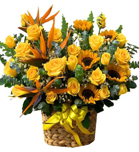 Hoa Chúc Mừng 13 - Gửi Hoa Về Việt Nam