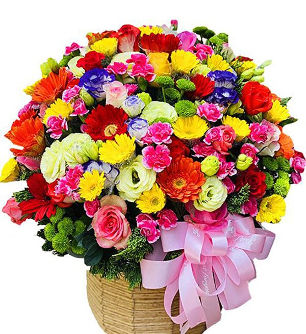 Hoa Chúc Mừng 14 - Gửi Hoa Về Việt Nam