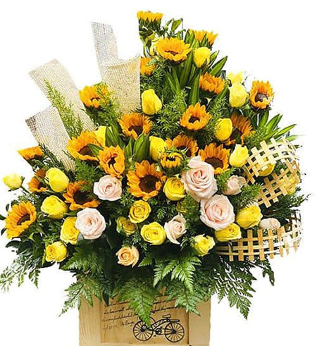 Hoa Chúc Mừng 16 - Gửi Hoa Về Việt Nam