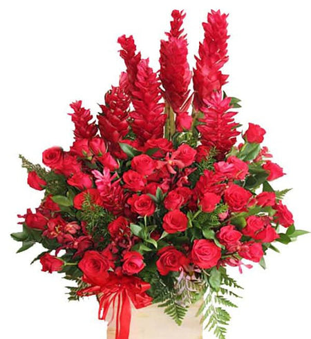 Hoa Chúc Mừng 18 - Gửi Hoa Về Việt Nam