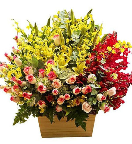 Hoa Chúc Mừng 24 - Gửi Hoa Về Việt Nam