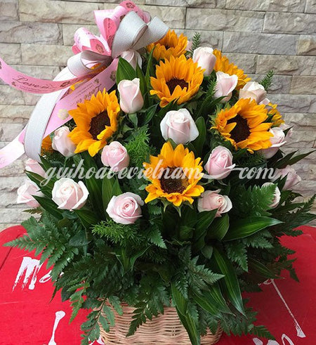 Ánh Sáng Của Đời Anh - Gửi Hoa Về Việt Nam