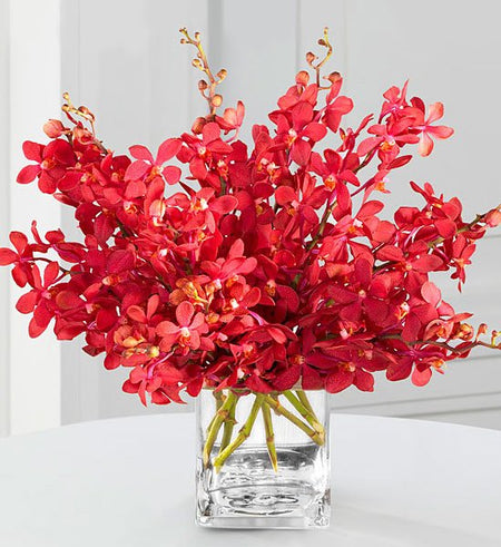 Bình Lan Mokara Đỏ - Gửi Hoa Về Việt Nam