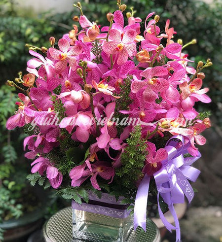 Bình Lan Mokara Tím Hồng - Gửi Hoa Về Việt Nam