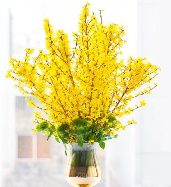 Binh Mai Mỹ - Gửi Hoa Về Việt Nam