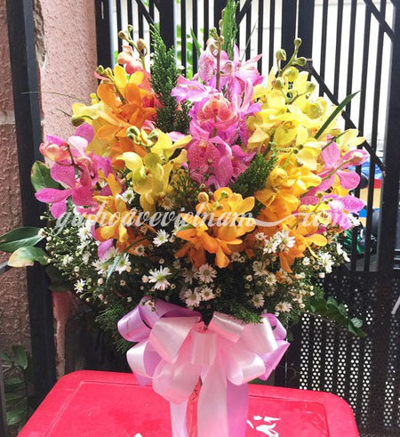 Cầu Vồng Sau Mưa - Gửi Hoa Về Việt Nam