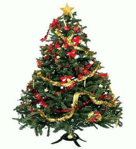 Cây Thông Noel 120cm - Gửi Hoa Về Việt Nam