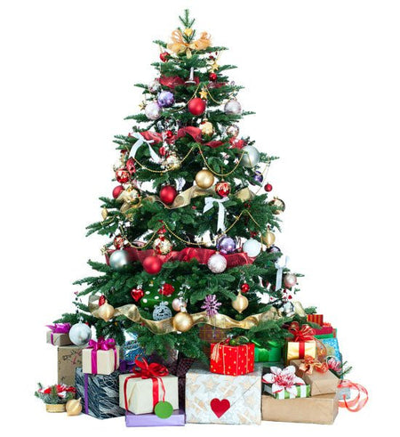 Cây Thông Noel 140cm - Gửi Hoa Về Việt Nam