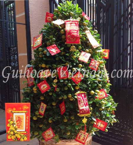 Chậu Tắt 1,5m - Gửi Hoa Về Việt Nam