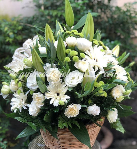 Con yêu Mẹ - Gửi Hoa Về Việt Nam