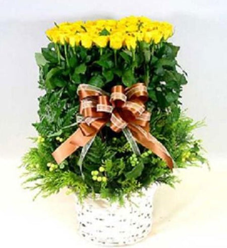 Cuộc sống thanh bình - Gửi Hoa Về Việt Nam