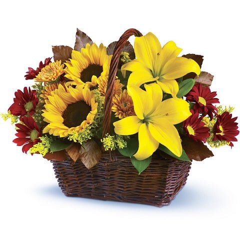 Điện Hoa Bắc Giang 11 - Gửi Hoa Về Việt Nam