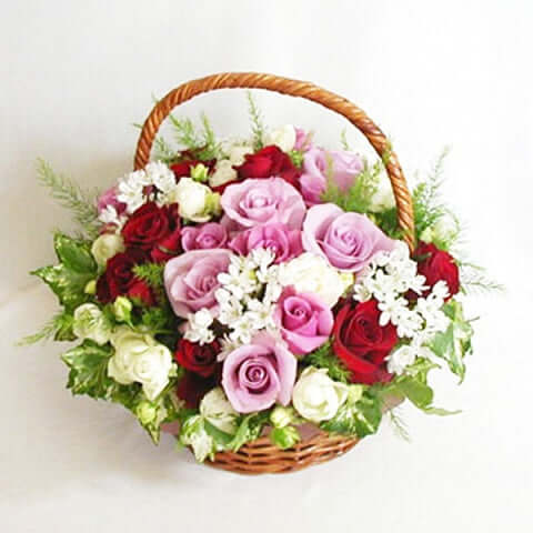 Điện Hoa Bắc Ninh 36 - Gửi Hoa Về Việt Nam