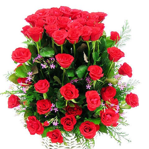 Điện Hoa Bình Dương 37 - Gửi Hoa Về Việt Nam
