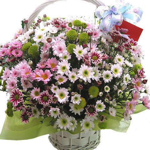 Điện Hoa Cần Thơ 55 - Gửi Hoa Về Việt Nam