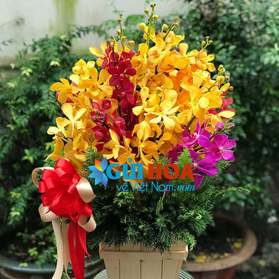 Điện Hoa Đà Nẵng 01 - Gửi Hoa Về Việt Nam