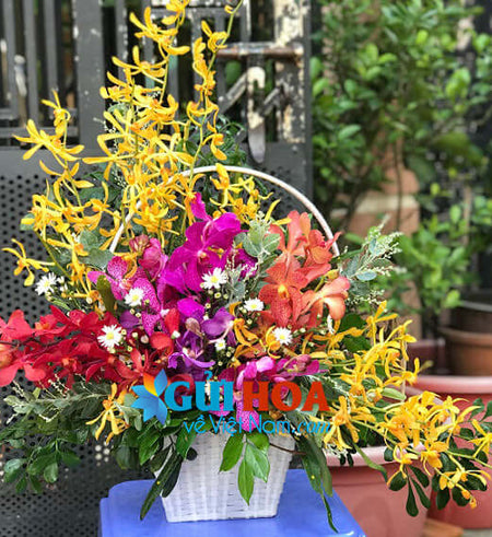 Điện Hoa Đà Nẵng 04 - Gửi Hoa Về Việt Nam