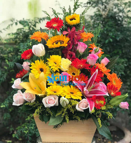 Điện Hoa Đà Nẵng 20 - Gửi Hoa Về Việt Nam