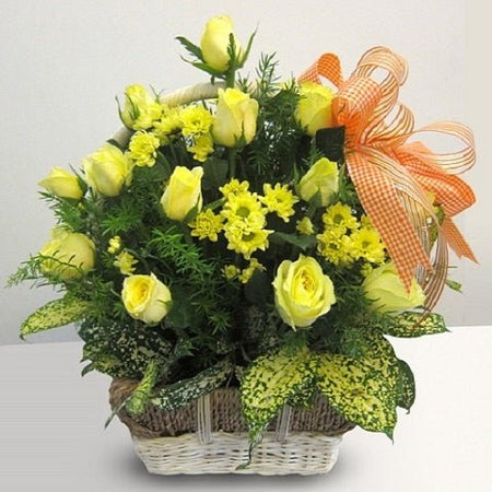 Điện Hoa Hải Phòng 53 - Gửi Hoa Về Việt Nam