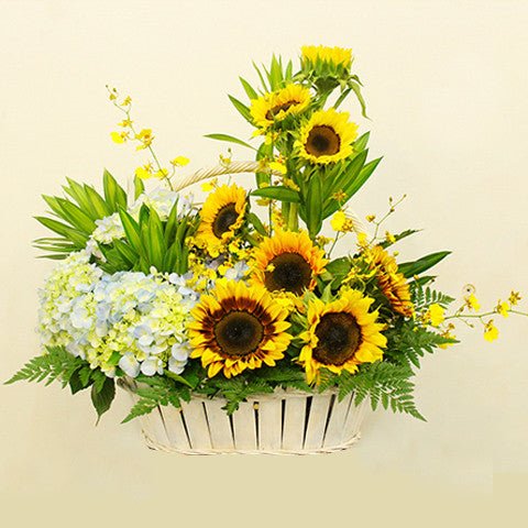Điện Hoa Hậu Giang 48 - Gửi Hoa Về Việt Nam