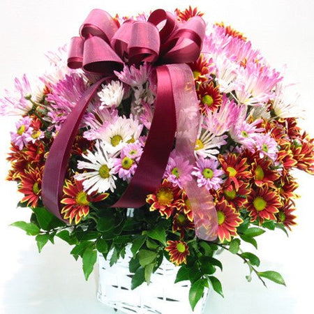 Điện Hoa Hòa Bình 54 - Gửi Hoa Về Việt Nam