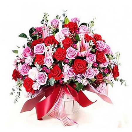 Điện Hoa Quảng Bình 28 - Gửi Hoa Về Việt Nam