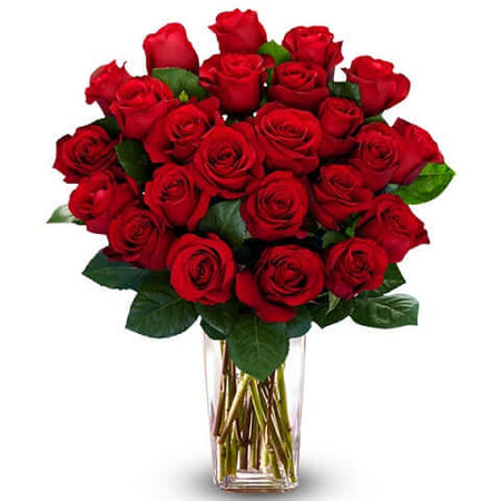 Điện Hoa Quảng Bình 57 - Gửi Hoa Về Việt Nam