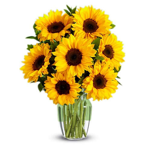 Điện Hoa Thanh Hóa 19 - Gửi Hoa Về Việt Nam