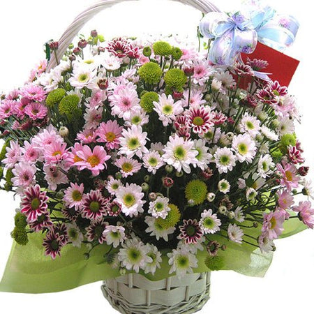 Điện Hoa Tuyên Quang 35 - Gửi Hoa Về Việt Nam