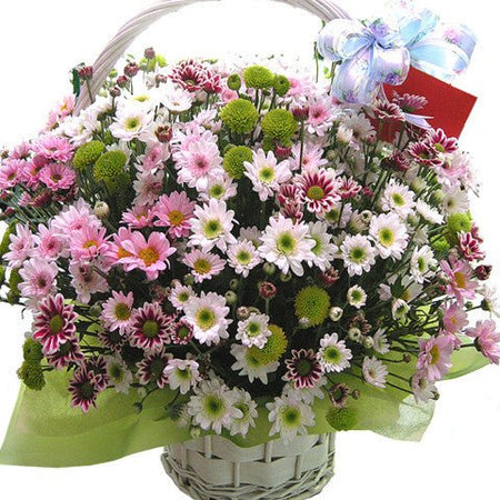 Điện Hoa Vĩnh Long 55 - Gửi Hoa Về Việt Nam